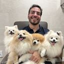 ���������� �����������, ���� ������� �������, 41 ���, ������������ ��� c�������� ���������