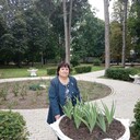  ,   , 64 ,   c 