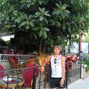  ,   Semiull, 40 ,  