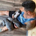 ���������� ������, ���� ������� �����, 41 ���, ������������ ��� ������, ����� � ���������, ���������