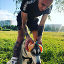  -,   , 31 ,   ,   , c , 