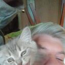  ,   , 54 ,   ,   