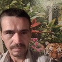 ���������� ��������, ���� ������� �������, 48 ���, ������������ ��� ������, ����� � ���������, c�������� ���������, ���������