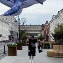 ���������� �����-���������, ���� ������� ����, 29 ���, ������������ ��� ���������