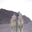 ���������� ������, ���� ������� ���������, 38 ���, ������������ ��� ������