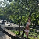  -,   , 27 ,   ,   , 