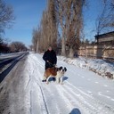 ���������� �����������, ���� ������� ������, 36 ���, ������������ ��� ����� � ���������, c�������� ���������