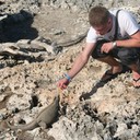 ���������� ������, ���� ������� �������, 42 ����, ������������ ��� ������, ����� � ���������, c�������� ���������