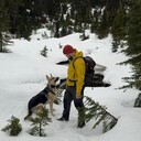  Belton,   Boris, 50 ,   ,   