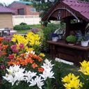 ���������� ������, ���� ������� ��������, 101 ���, ������������ ��� ����� � ���������, c�������� ���������, ���������