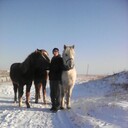 ���������� ����, ���� ������� ��������, 44 ����, ������������ ��� ������, ����� � ���������, c�������� ���������