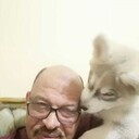 ���������� ������, ���� ������� Gamil, 55 ���, ������������ ��� ������, ����� � ���������