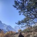 ���������� �������, ���� ������� ������, 41 ���, ������������ ��� ������, ����� � ���������, c�������� ���������