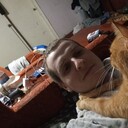 ���������� ���������, ���� ������� ����, 33 ����, ������������ ��� ������, ����� � ���������