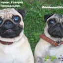 ���������� ���������, ���� ������� Alexxx, 40 ���, ������������ ��� ������, ����� � ���������, c�������� ���������