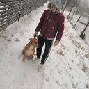  ,   , 29 ,     , c 