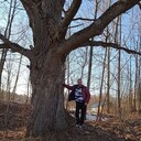 ���������� ��������, ���� ������� �����, 37 ���, ������������ ��� ������, ����� � ���������, c�������� ���������