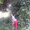 ���������� ������, ���� ������� ������, 38 ���, ������������ ��� ������, ����� � ���������, c�������� ���������