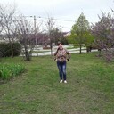  --,   , 38 ,   ,   , 