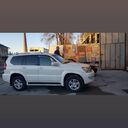 ���������� �����������, ���� ������� �����, 40 ���, ������������ ��� ������, ����� � ���������, c�������� ���������