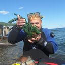 ���������� �������, ���� ������� ����, 53 ����, ������������ ��� ������, ����� � ���������, c�������� ���������, ���������