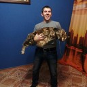 ���������� ����������, ���� ������� ����, 34 ����, ������������ ��� ������, ����� � ���������, c�������� ���������