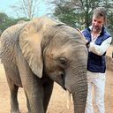 ���������� ���������, ���� ������� ������, 40 ���, ������������ ��� ������, ����� � ���������, c�������� ���������, ���������