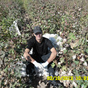 ���������� ���������, ���� ������� ������, 41 ���, ������������ ��� ������, ����� � ���������, c�������� ���������