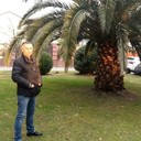 ���������� ���������, ���� ������� ������, 55 ���, ������������ ��� ������, ����� � ���������, c�������� ���������