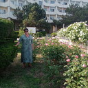  ,   , 56 ,   c 