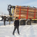 ���������� �����, ���� ������� �����, 47 ���, ������������ ��� ����� � ���������, c�������� ���������, ���������