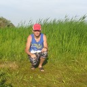  ,   , 48 ,  
