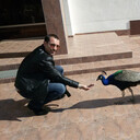 ���������� ����, ���� ������� ���������, 44 ����, ������������ ��� ������, ����� � ���������, ���������