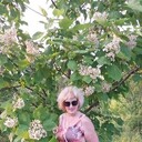  --,   , 54 ,     , c 