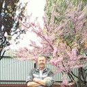  ,   , 66 ,   