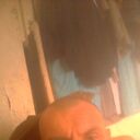 ���������� ������ ��������, ���� ������� ˸��, 48 ���, ������������ ��� ������, ����� � ���������