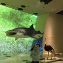 ���������� ������, ���� ������� Nurgazy, 33 ����, ������������ ��� ������, ����� � ���������, c�������� ���������