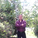  ,   An84, 41 ,   