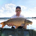 ���������� ������ ��������, ���� ������� ����, 33 ����, ������������ ��� ������, ����� � ���������, c�������� ���������, ���������