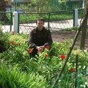 ���������� ������, ���� ������� ����, 40 ���, ������������ ��� ������, ����� � ���������, c�������� ���������