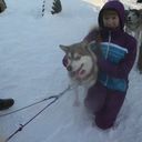 ���������� ������������, ���� ������� ��������, 29 ���, ������������ ��� ������, ����� � ���������, c�������� ���������