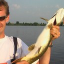 ���������� ���������, ���� ������� �����, 54 ����, ������������ ��� ������, ����� � ���������, c�������� ���������