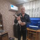 ���������� ���, ���� ������� �������, 51 ���, ������������ ��� c�������� ���������