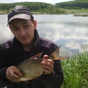 ���������� ������������, ���� ������� ��������, 38 ���, ������������ ��� ������, ����� � ���������, c�������� ���������