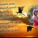 ���������� ������������, ���� ������� ����������, 39 ���, ������������ ��� ������