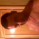 ���������� ���������, ���� ������� ������, 59 ���, ������������ ��� ������, ����� � ���������, c�������� ���������