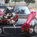  ,   PANARAMA, 46 ,  