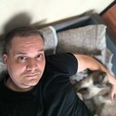 ���������� ������, ���� ������� ������, 37 ���, ������������ ��� ������, ����� � ���������