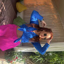 ���������� ������, ���� ������� ���, 30 ���, ������������ ��� ������, ����� � ���������