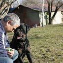  ,   Tiger, 62 ,     , c 